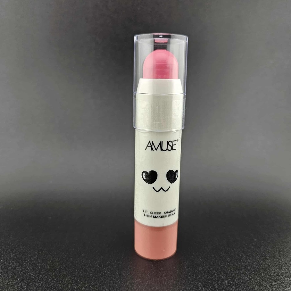 Amuse Society Pink Blush and Lip Stick